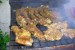 DSCN9495.JPG